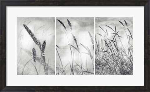Framed Wilderness Print