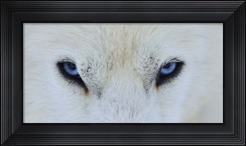 Framed Mirada Azul Print
