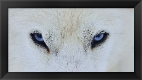 Framed Mirada Azul Print