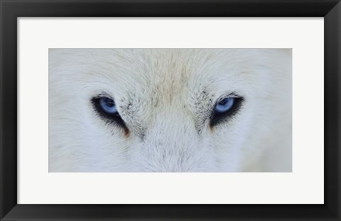 Framed Mirada Azul Print