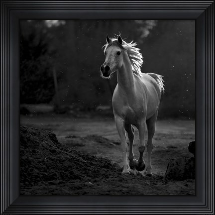 Framed Coquetry Print