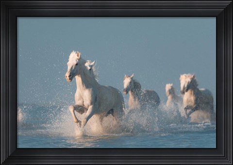 Framed Angels Of Camargue 2 Print