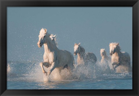 Framed Angels Of Camargue 2 Print