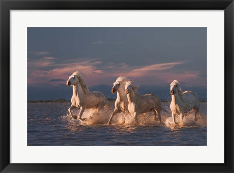 Framed Angels Of Camargue 1 Print