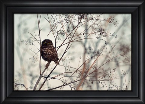 Framed Look At Me! Print