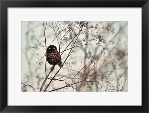 Framed Look At Me! Print