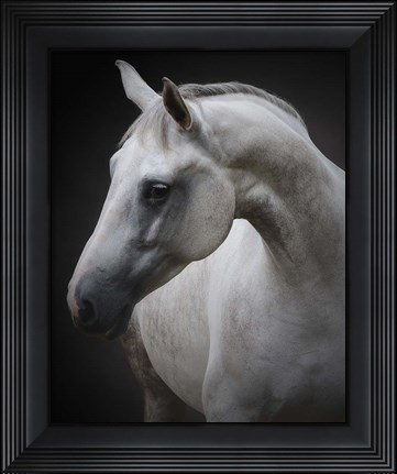 Framed Maggie Print