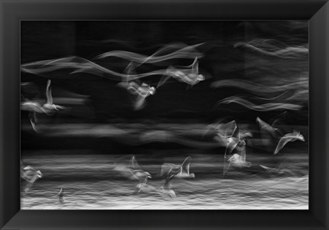 Framed Boundary Between Reality And Fantasy Print