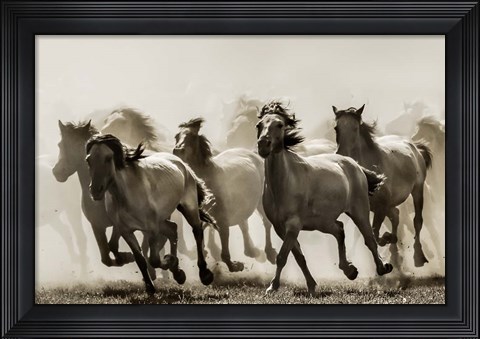 Framed Horse Print