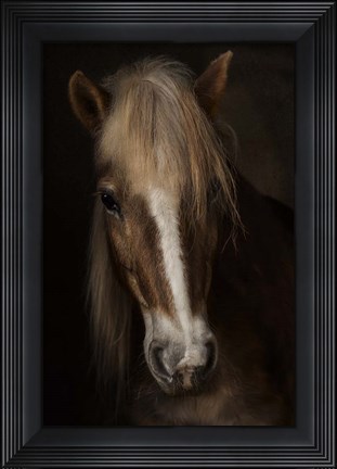 Framed Sapience Print