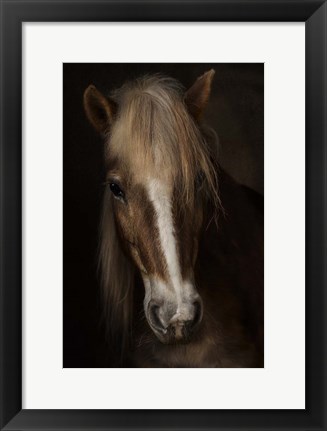Framed Sapience Print
