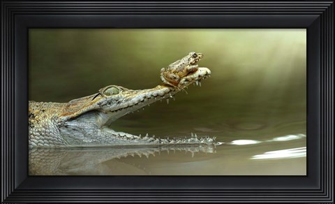 Framed I Will Survive Print