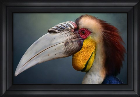 Framed Jabrix Print