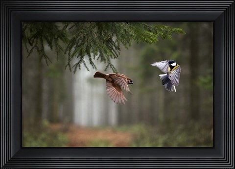 Framed Two Print