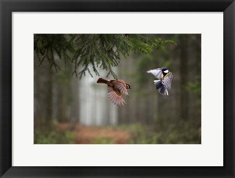 Framed Two Print