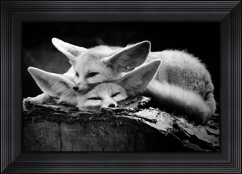 Framed Happy Couple Print