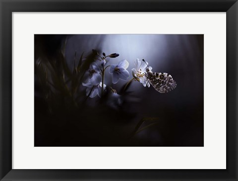 Framed In Your Dreams, Everything Is Alright Print