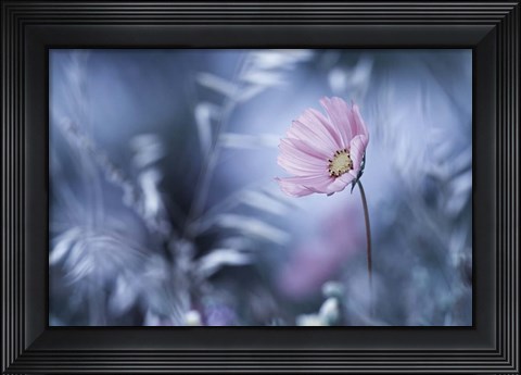 Framed Walk In Dreamland Print