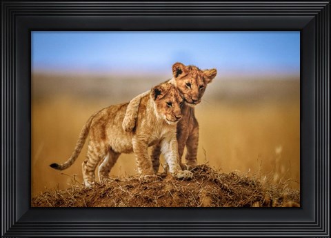Framed Brothers For Life Print