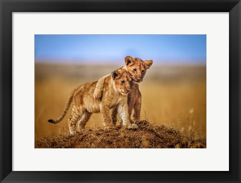 Framed Brothers For Life Print