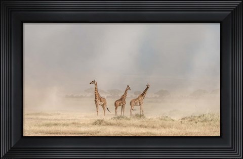 Framed Weathering The Amboseli Dust Devils Print