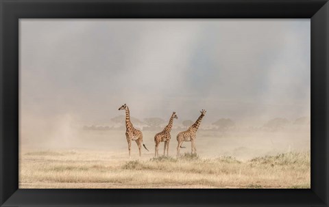 Framed Weathering The Amboseli Dust Devils Print