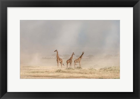 Framed Weathering The Amboseli Dust Devils Print