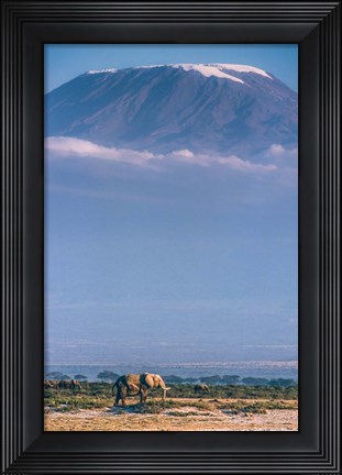 Framed Kilimanjaro And The Quiet Sentinels Print