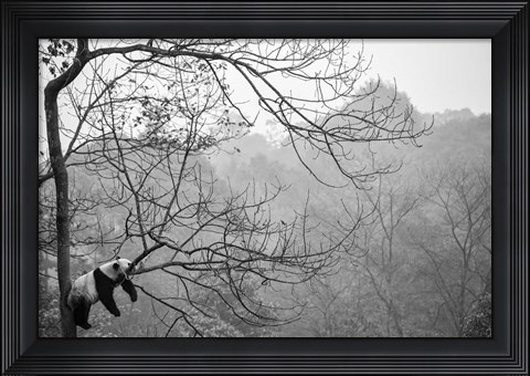 Framed Relax Print
