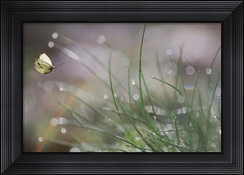 Framed Imminent Landing Print
