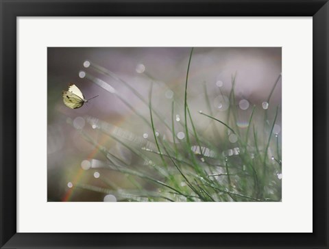 Framed Imminent Landing Print