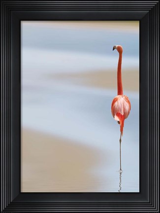 Framed I Print