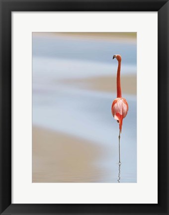 Framed I Print