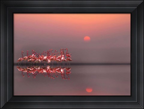Framed Purple Sunset Print