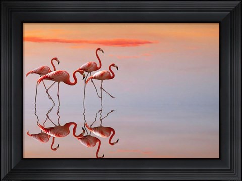 Framed Flamingos Family Print