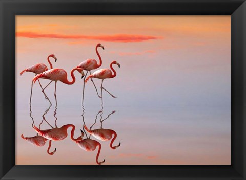 Framed Flamingos Family Print