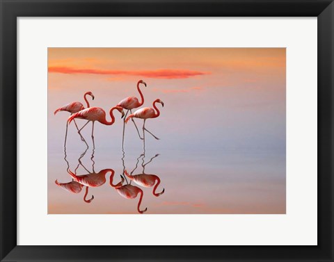 Framed Flamingos Family Print