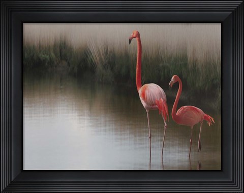 Framed So Zen Print
