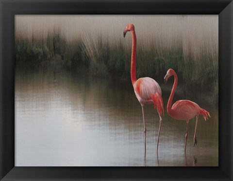 Framed So Zen Print