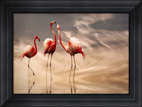 Framed Fighting Print