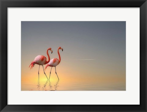 Framed Serenity II Print