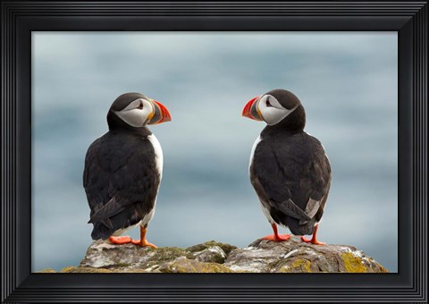 Framed I Love You - I Love You Too Print
