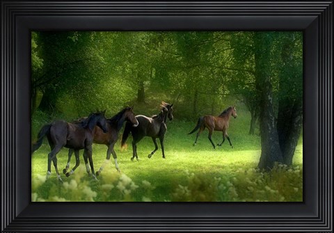 Framed Running Horses Print