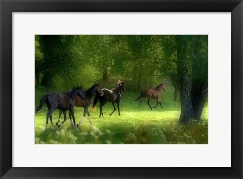 Framed Running Horses Print