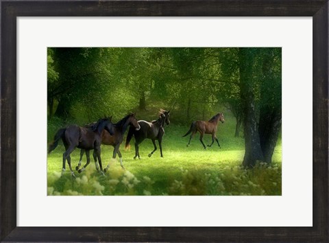 Framed Running Horses Print