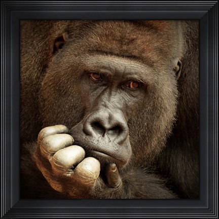 Framed Sense Of Life Print