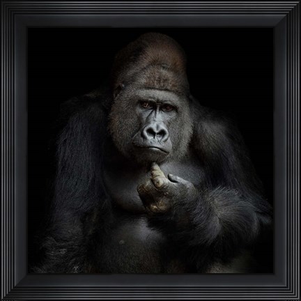 Framed IMHO Print