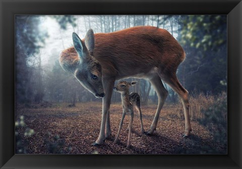 Framed Mother And Fawn Print