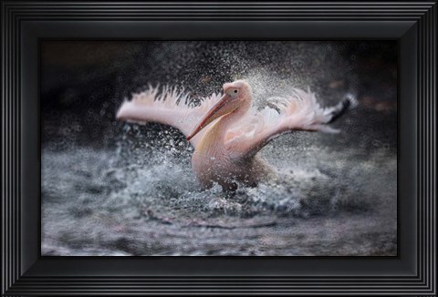 Framed Bathing Fun Print