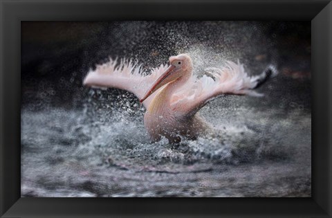 Framed Bathing Fun Print